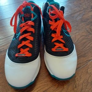 LeBron James sneakers